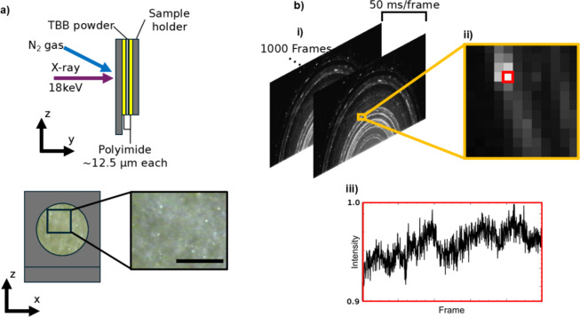 Diffracted X-ray blinking reveals signature crystal polymorph dynamics in 1,2,3,5-Tetrabromobenzene.