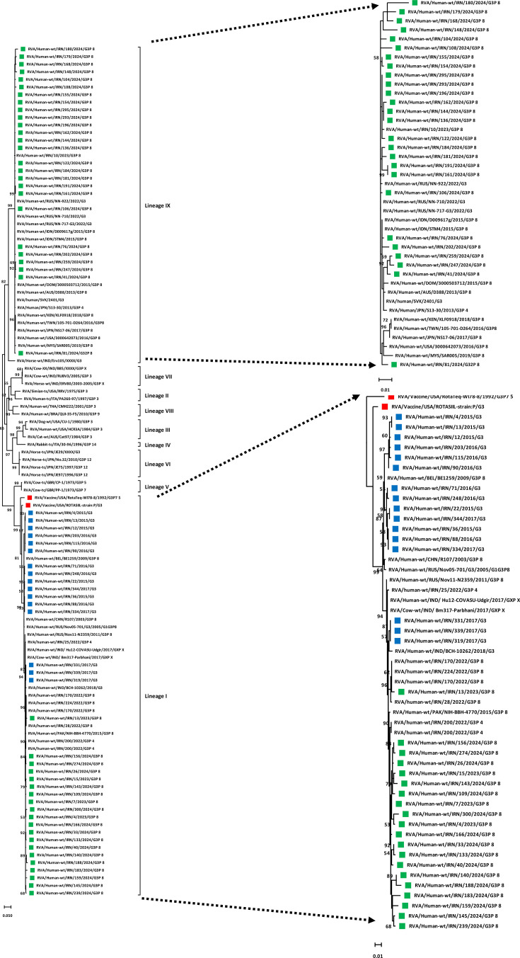 Genetic characterization of rotavirus A strains circulating in children under 5 years of age with acute gastroenteritis in Tehran, Iran, in 2023-2024: dissemination of the emerging equine-like G3P[8]-I2-E2 DS-1-like strains.