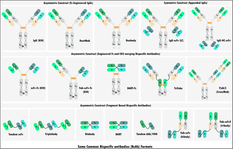 Revolutionizing oncology: the role of Artificial Intelligence (AI) as an antibody design, and optimization tools.