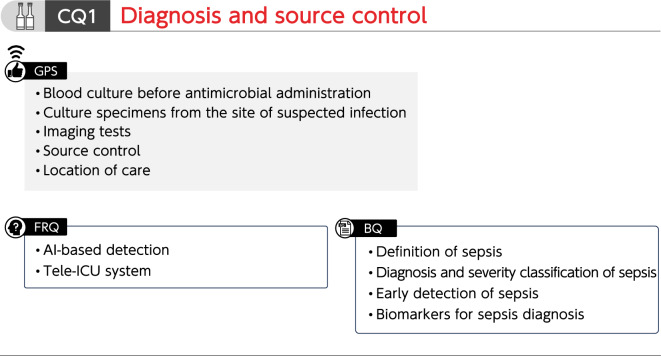 The Japanese Clinical Practice Guidelines for Management of Sepsis and Septic Shock 2024.