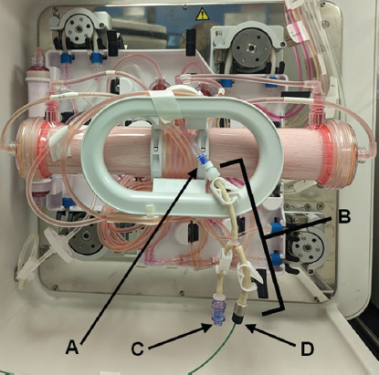 Integration of an automated cell culture analyzer with a closed-system hollow-fiber bioreactor for online metabolite detection and cell monitoring.