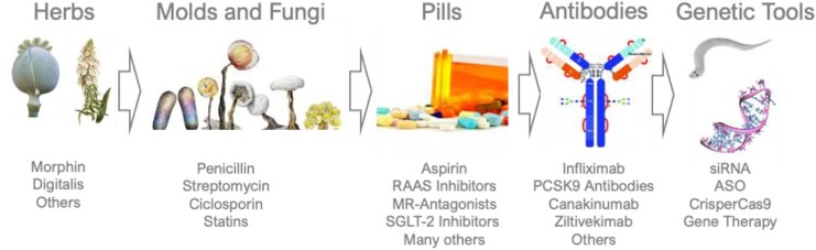 The revolution in pharmacotherapy: from herbs to pills, moulds, antibodies to genetic tools.