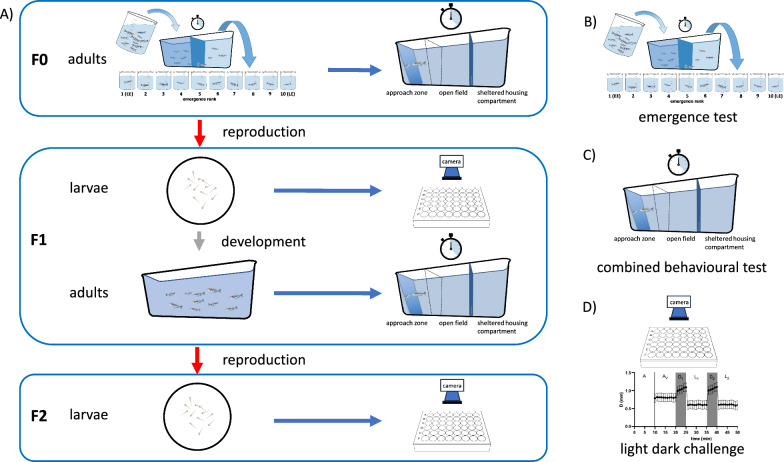 Risk taking behaviour predicts consistent and heritable coping styles in zebrafish.