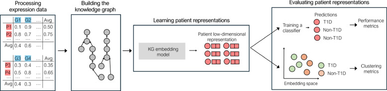 Gene expression knowledge graph for patient representation and diabetes prediction.