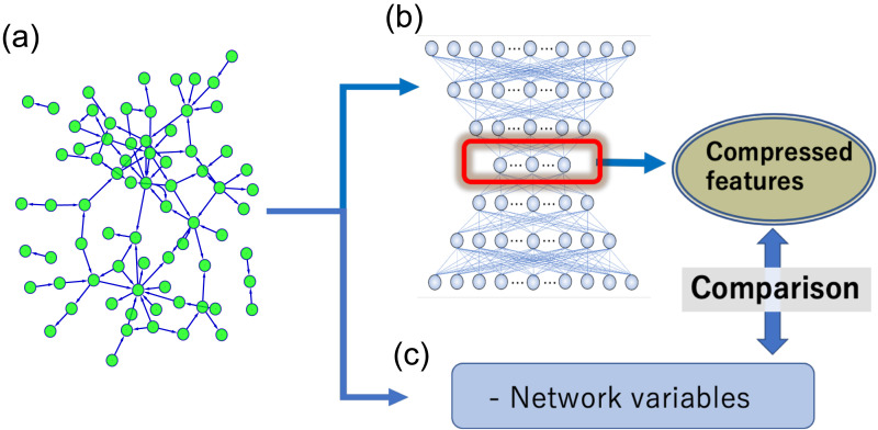 Neural network embedding of functional microconnectome.