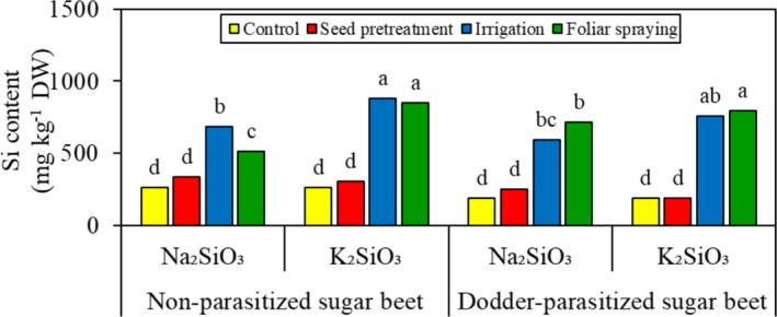 Silicon Protection of Sugar Beet (<i>Beta vulgaris</i>) Against Field Dodder (<i>Cuscuta campestris</i>): Preliminary Analysis.