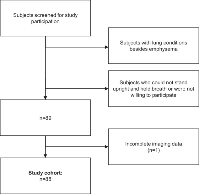 Dark-field chest radiography signal characteristics in inspiration and expiration in healthy and emphysematous subjects.