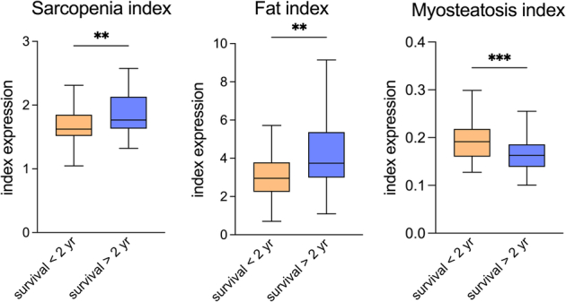 Automated 3D-Body Composition Analysis as a Predictor of Survival in Patients With Idiopathic Pulmonary Fibrosis.