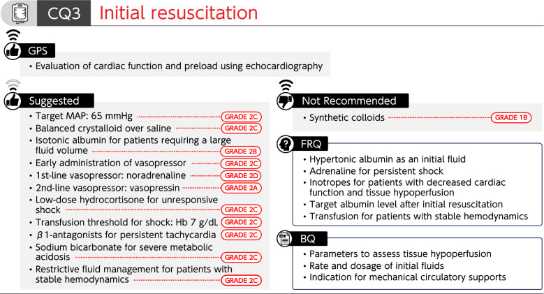 The Japanese Clinical Practice Guidelines for Management of Sepsis and Septic Shock 2024.