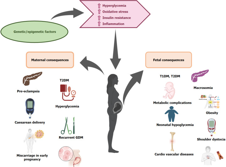 Genetic and epigenetic alterations associated with gestational diabetes mellitus and adverse neonatal outcomes.