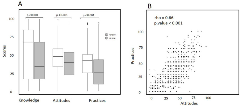 The Perception and Practices of Black African Subjects Toward Hemorrhoidal Disease: The Relevant Effects of Beliefs and Misconceptions in Côte d'Ivoire, West Africa.