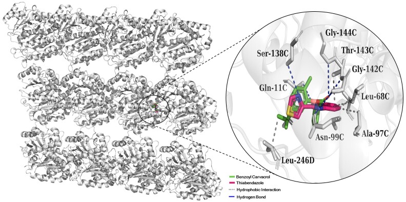 Anthelmintic activity on Haemonchus contortus and toxicity of benzoyl-carvacrol: a study in vitro, in silico and in vivo.