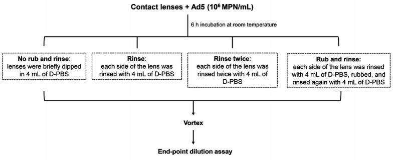 Antiviral activity of contact lens care solutions and rub-and-rinse regimen against adenovirus.