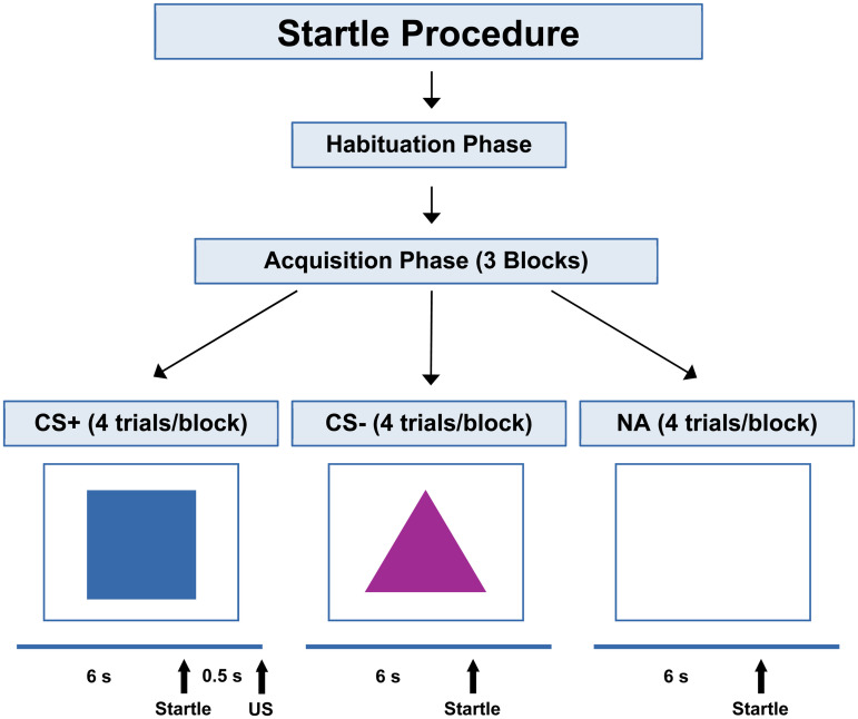 Characterizing the Prevalence of Psychiatric Conditions and Fear-Potentiated Startle Response in Civilians with a History of Trauma and Seizures.