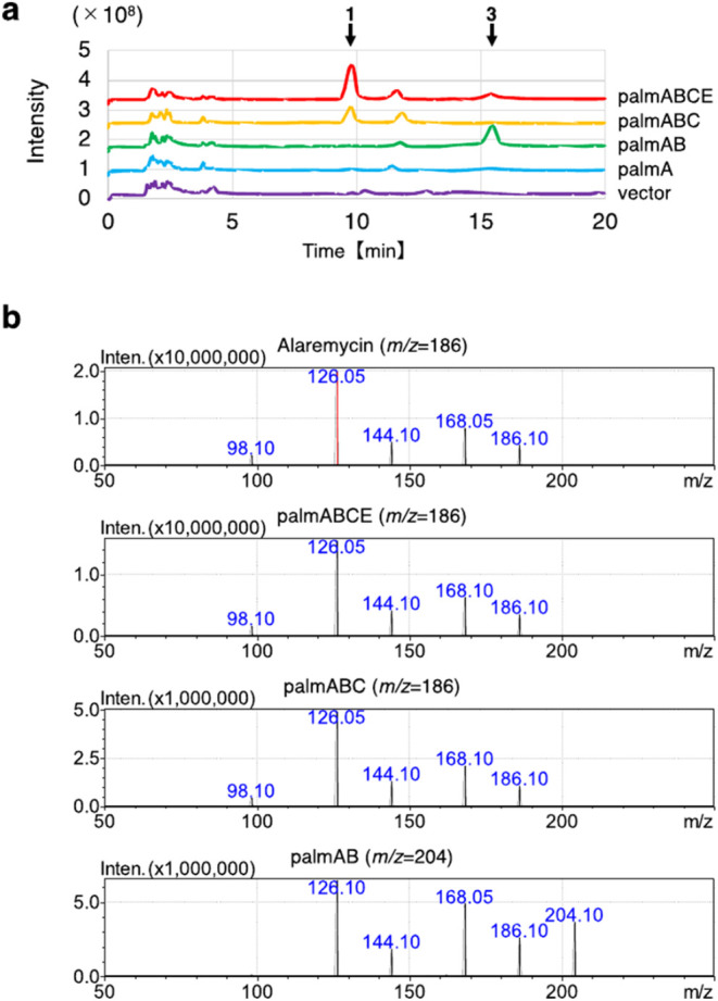 Biosynthetic Pathways of Alaremycin and Its Derivative: Inhibitors of Porphobilinogen Synthase in Porphyrin Biosynthesis from <i>Streptomyces</i> sp. A012304.