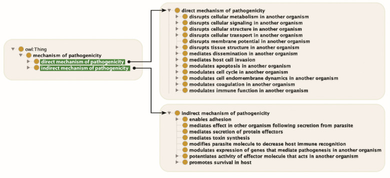New and revised gene ontology biological process terms describe multiorganism interactions critical for understanding microbial pathogenesis and sequences of concern.