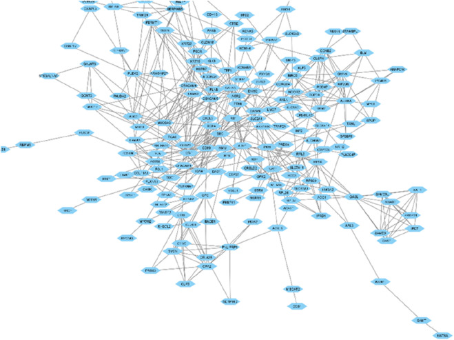 Identification of key hub genes in pancreatic ductal adenocarcinoma: an integrative bioinformatics study.