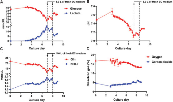 Integration of an automated cell culture analyzer with a closed-system hollow-fiber bioreactor for online metabolite detection and cell monitoring.