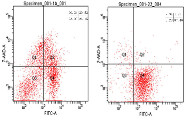 The Earlier Apoptosis in Human Sperm: Its Correlation with Semen Parameters and Assisted Reproduction Outcome.