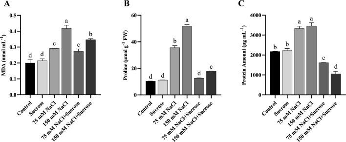 Exogenous sucrose alleviates salt stress in sunflower (<i>Helianthus annuus</i> L.) and canola (<i>Brassica napus</i> L.) by modulating osmotic adjustment and antioxidant defense system.