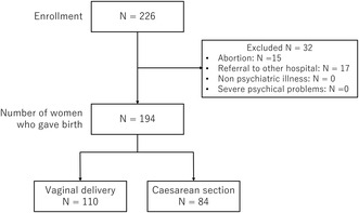 Effects of Psychotropic Medications Taken by Pregnant Women on Newborn Medical Condition and Lactation Method.