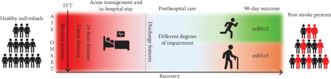 Dynamic, Interpretable, Machine Learning-Based Outcome Prediction as a New Emerging Opportunity in Acute Ischemic Stroke Patient Care: A Proof-of-Concept Study.