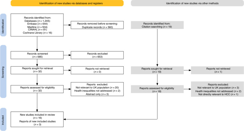 Health inequalities in hepatocellular carcinoma surveillance, diagnosis, treatment, and survival in the United Kingdom: a scoping review.