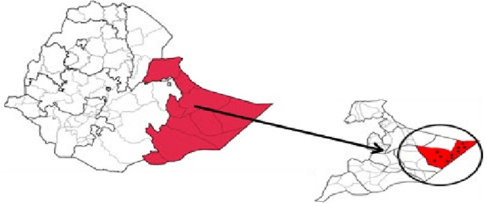 Cholera outbreak and associated risk factors in Dollo Ado district, Ethiopia: un-matched case-control study, 2023.