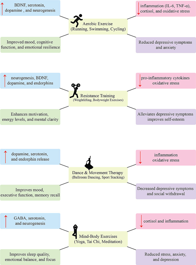 A comprehensive review on the impact of polyphenol supplementation and exercise on depression and brain function parameters.
