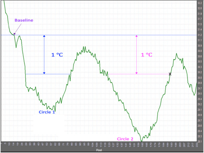 Modelling the thermal effects of stimulus airflow from the Dolphin aesthesiometer on a model eye surface.