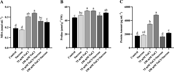 Exogenous sucrose alleviates salt stress in sunflower (<i>Helianthus annuus</i> L.) and canola (<i>Brassica napus</i> L.) by modulating osmotic adjustment and antioxidant defense system.