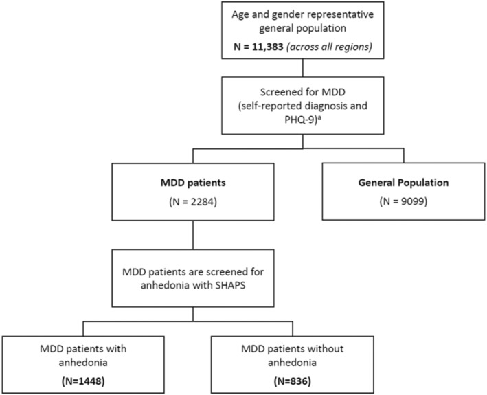 The Impact of Anhedonia on the Disease Burden of Major Depressive Disorder in the Asia-Pacific Region: A Cross-Sectional Real-World Study.