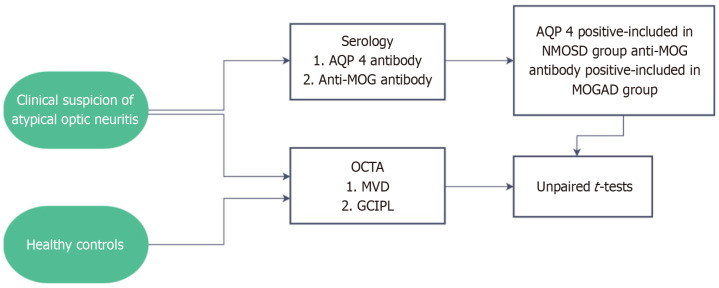 Macular microvascular and structural changes on optical coherence tomography angiography in atypical optic neuritis.