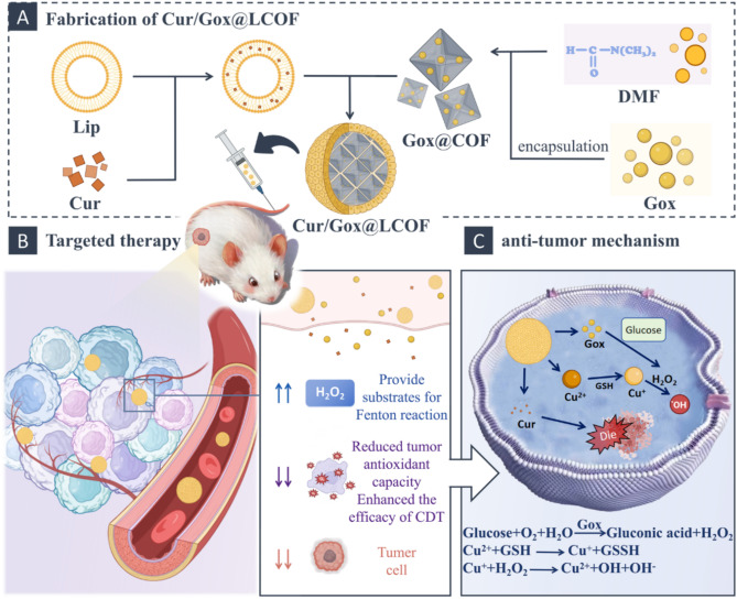 Triple synergistic enhancement of breast cancer treatment via chemotherapy, chemodynamic therapy, and tumor starvation therapy driven by lipid-COF nanoparticles.