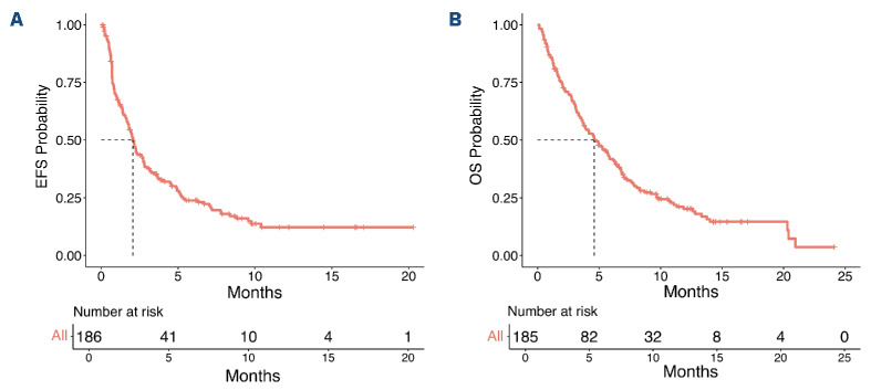 Loncastuximab in high-risk and heavily pretreated relapsed/refractory diffuse large B-cell lymphoma: a realworld analysis from 21 US centers.