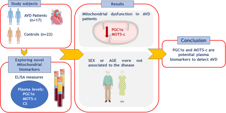 Circulating PGC-1α and MOTS-c Peptide as Potential Mitochondrial Biomarkers in Patients Undergoing Aortic Valve Replacement.