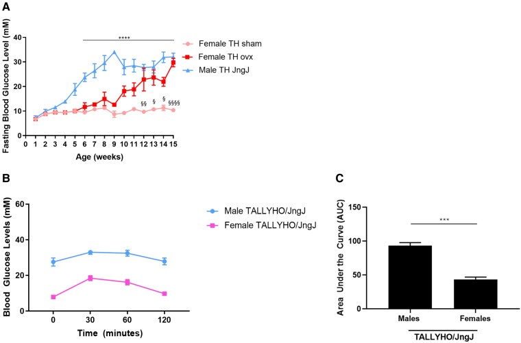 The Role of Estrogen and ER Stress in Glycemic Regulation in the Sexually Dimorphic TALLYHO/JngJ Mouse Model of Diabetes.
