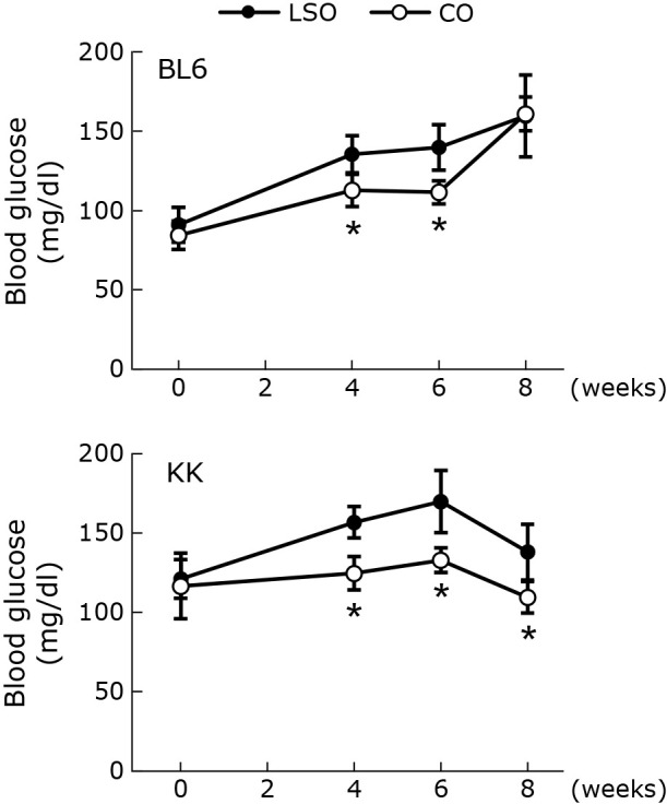 Dietary coconut oil lowered circulating fetuin-A levels and hepatic expression of fetuin-A in KK/TaJcl mice.