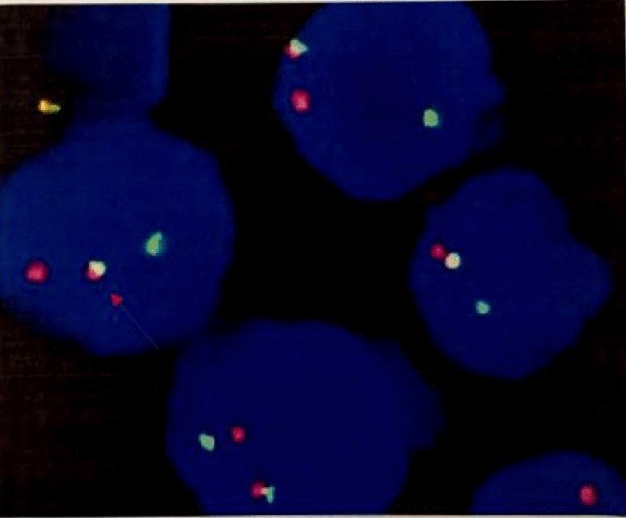 Abstract Image