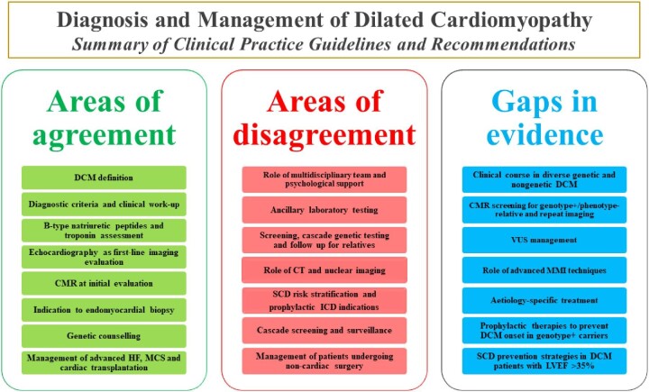 Diagnosis and management of dilated cardiomyopathy: a systematic review of clinical practice guidelines and recommendations.
