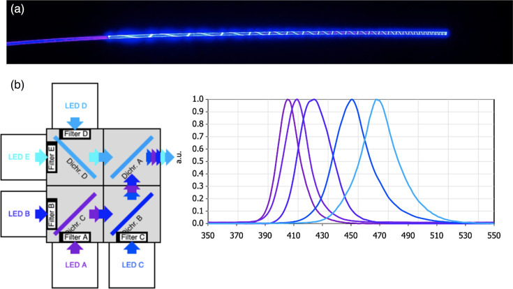 Antimicrobial effect of blue light on antibiotic-sensitive and drug-resistant Escherichia coli: a novel isotropic optical fibre.