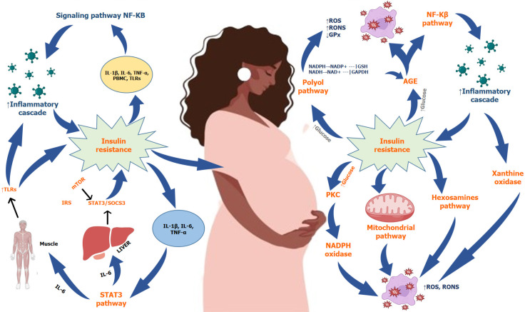 Genetic and epigenetic alterations associated with gestational diabetes mellitus and adverse neonatal outcomes.