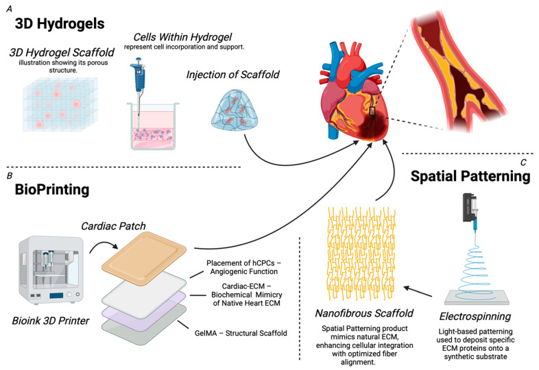 Developments in Extracellular Matrix-Based Angiogenesis Therapy for Ischemic Heart Disease: A Review of Current Strategies, Methodologies and Future Directions.