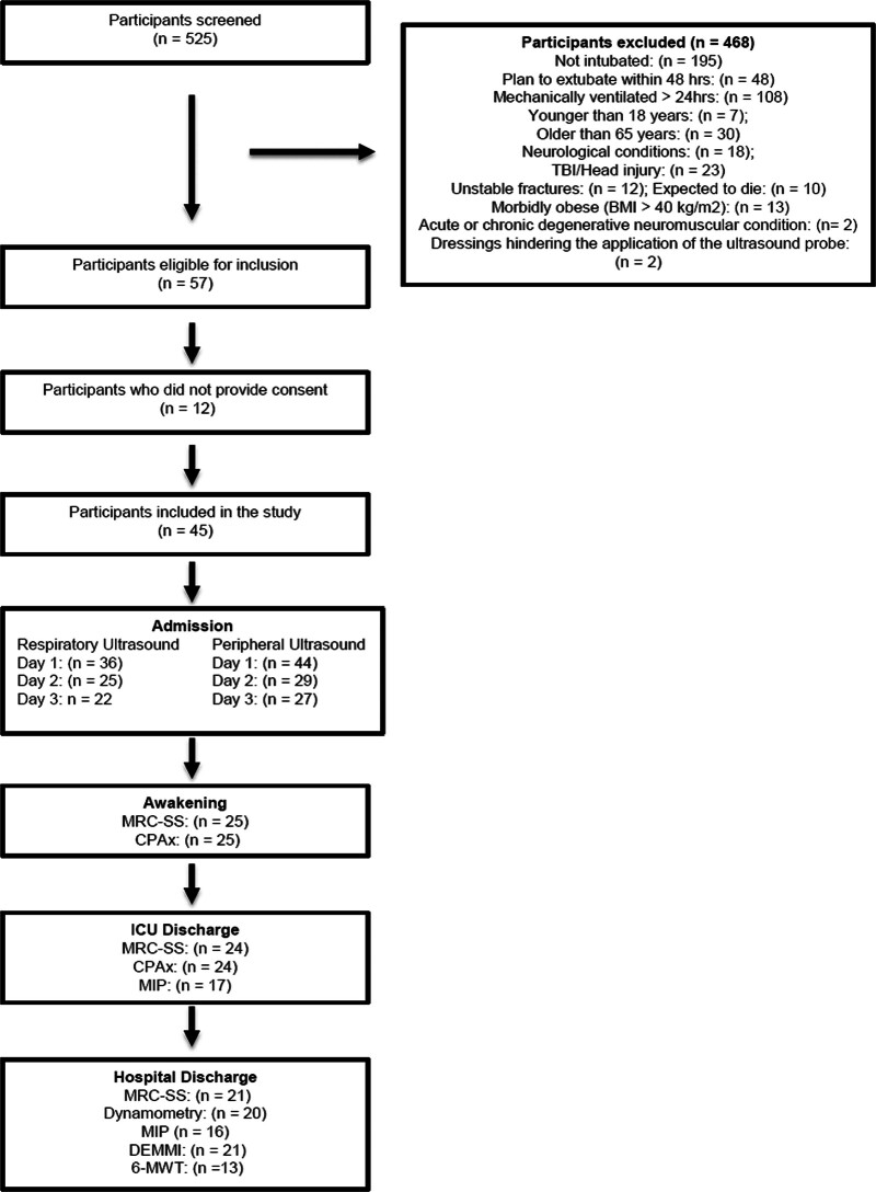 Exploring Peripheral and Respiratory Muscle Weakness and Functional Impairments in ICU Patients: Insights From a Resource-Constrained Setting.