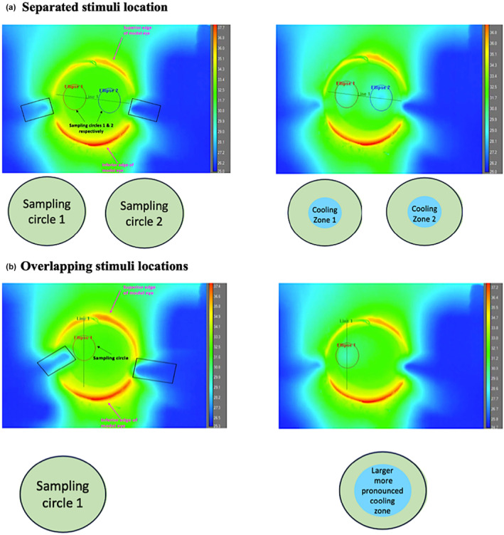 Modelling the thermal effects of stimulus airflow from the Dolphin aesthesiometer on a model eye surface.