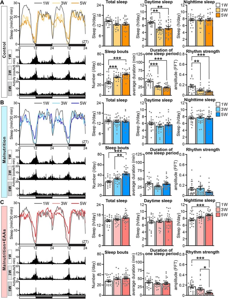 Supplementation of essential amino acids suppresses age-associated sleep loss and sleep fragmentation but not loss of rhythm strength under yeast-restricted malnutrition in Drosophila.