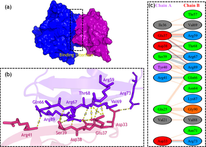 Exploring the Dynamic Interplay of Deleterious Variants on the RAF1-RAP1A Binding in Cancer: Conformational Analysis, Binding Free Energy, and Essential Dynamics.