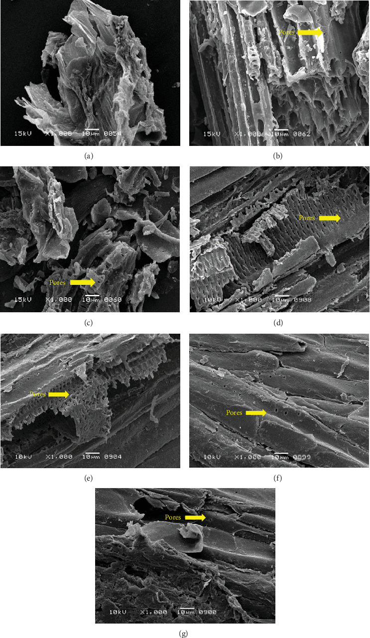 Production and Characterization of Pectinase Through Solid-State Fermentation of Orange Peels by a Mutant Yeast Strain.