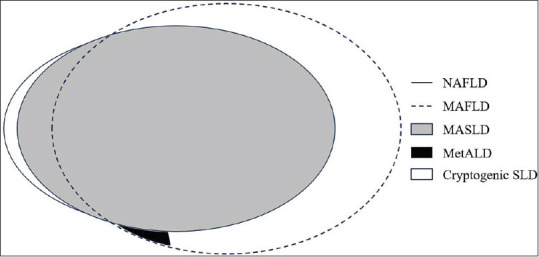 Abstract Image