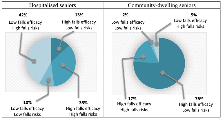 Assessing Falls Efficacy in Seniors: Important Insights in Hospital and Community Settings.